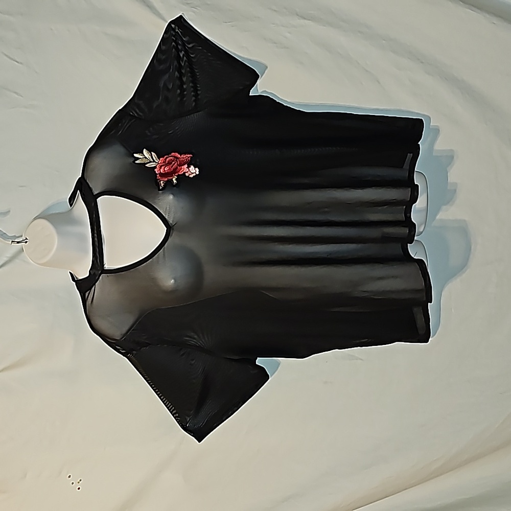 Brandy Blu sheer top